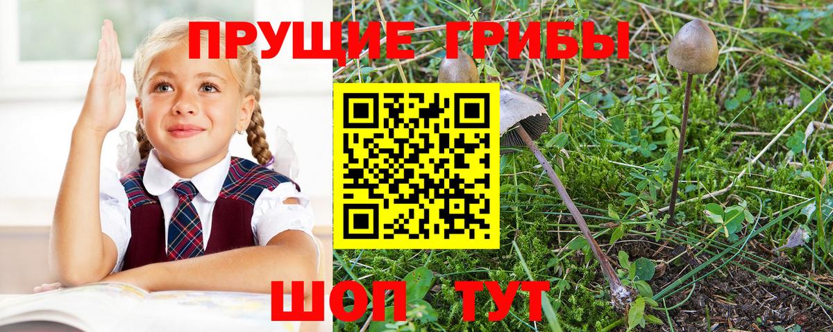 Галлюциногенные грибы Magic Shrooms Звенигород
